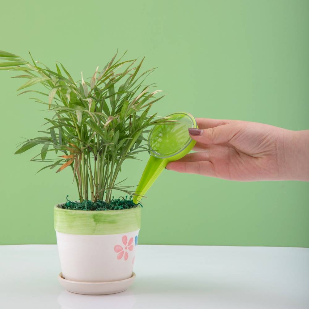 Ensemble d'Outils de Jardinage pour Plantes - IntiMeg - Image 2