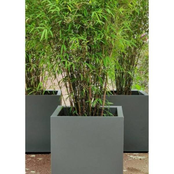 Riviera - Riviera Bac Granit - 30x30 Cm - Gris - Image 3