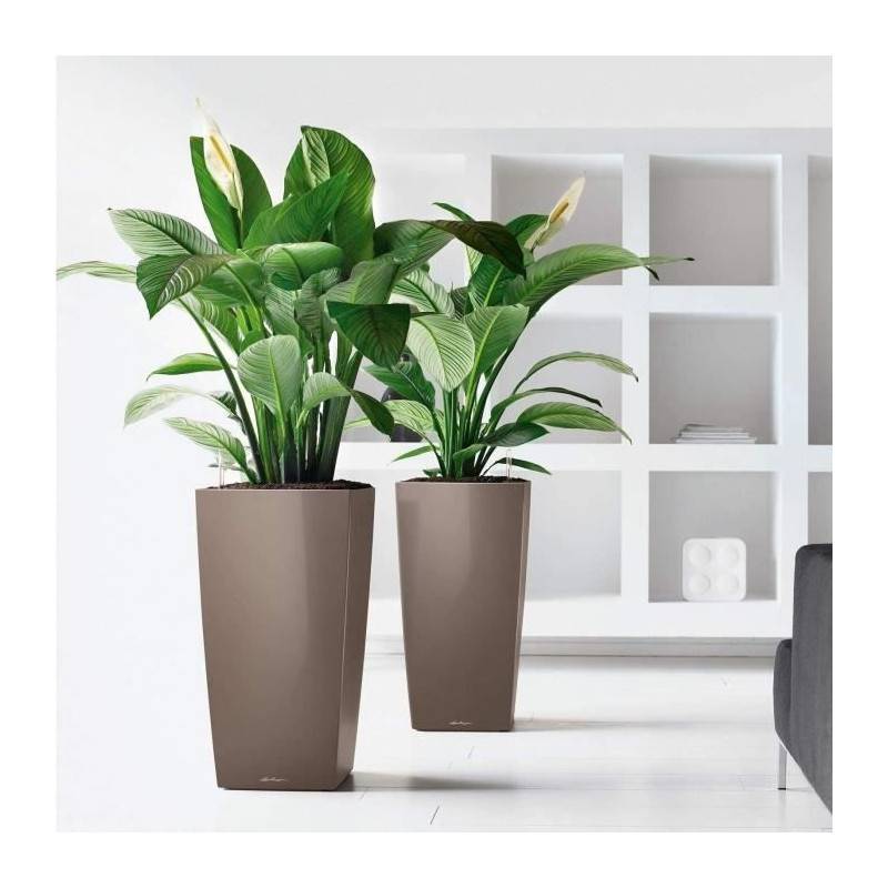Lechuza - Pot De Fleur Lechuza Cubico Premium 40 - Kit Complet, Taupe Brillant - Imagen 2