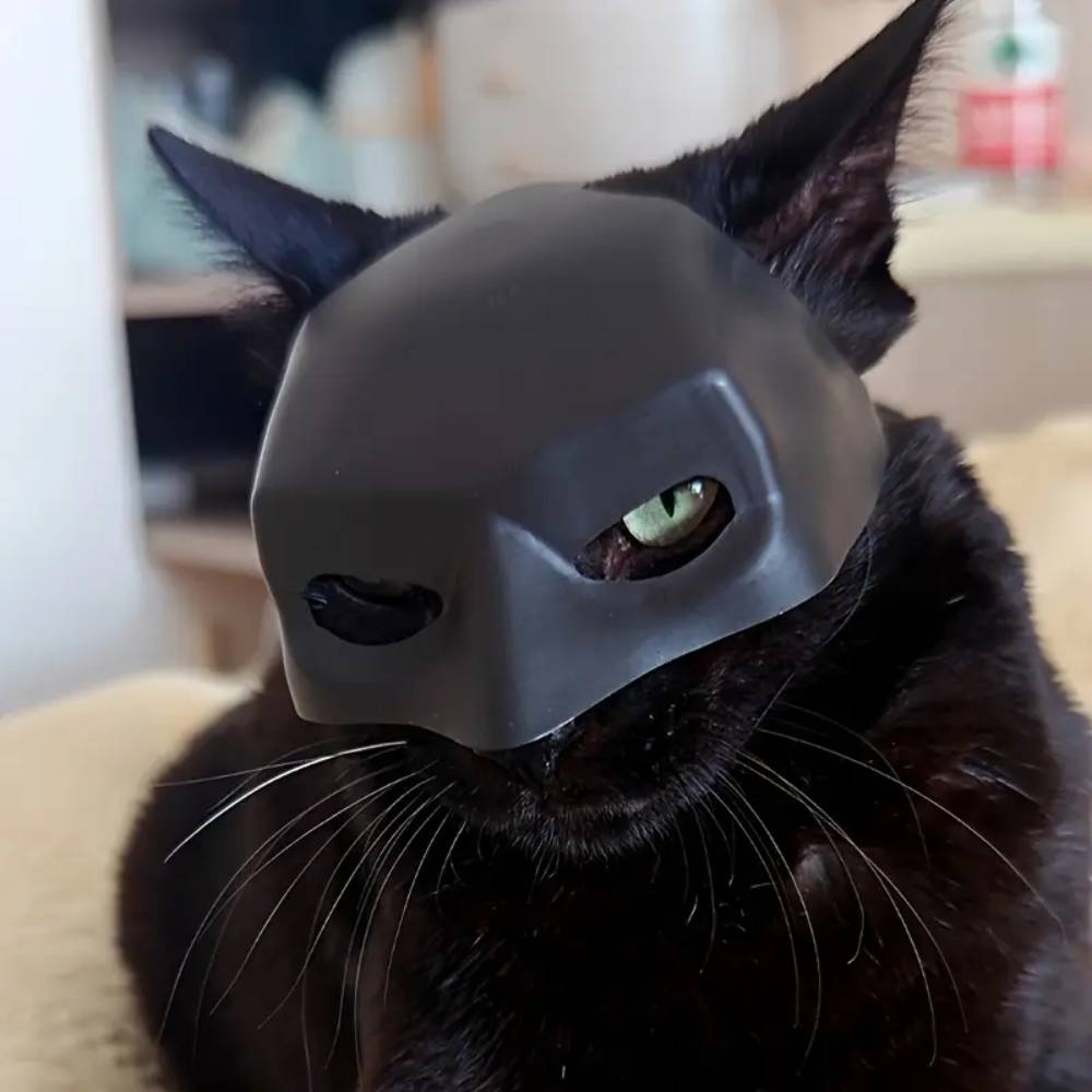 Masque Batman pour chat l - IntiMeg - Image 2