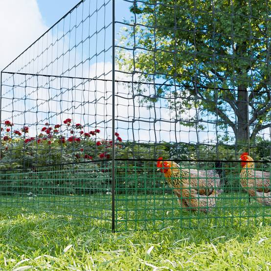 sweeek - Kit filet clôtures pour poules 12m avec 5 piquets double pointes. modulable. porte d'accès. sardines incluses | sweeek - Image 1