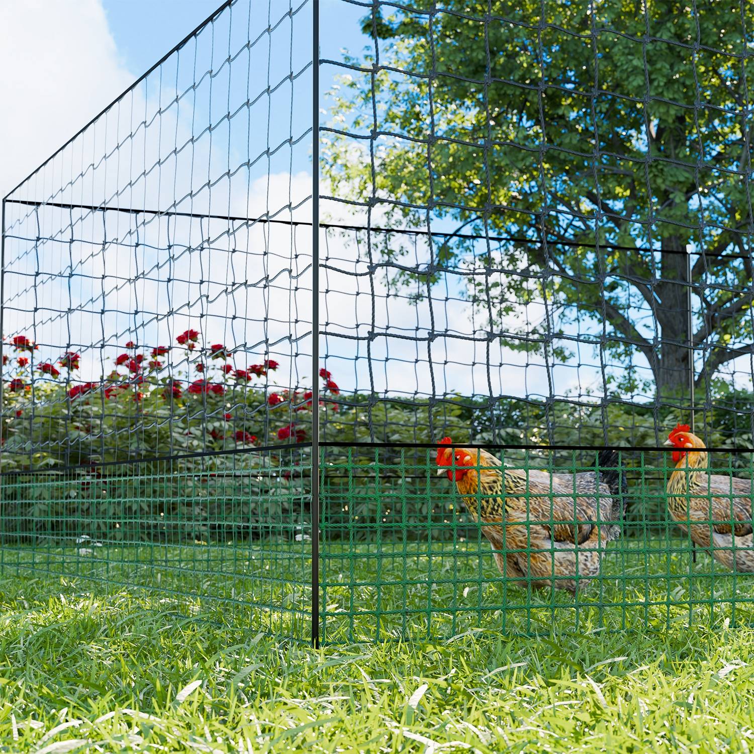 sweeek - Kit filet  clôtures pour poules 12m avec 5 piquets double pointes. modulable. porte d'accès. sardines incluses | sweeek - Image 1