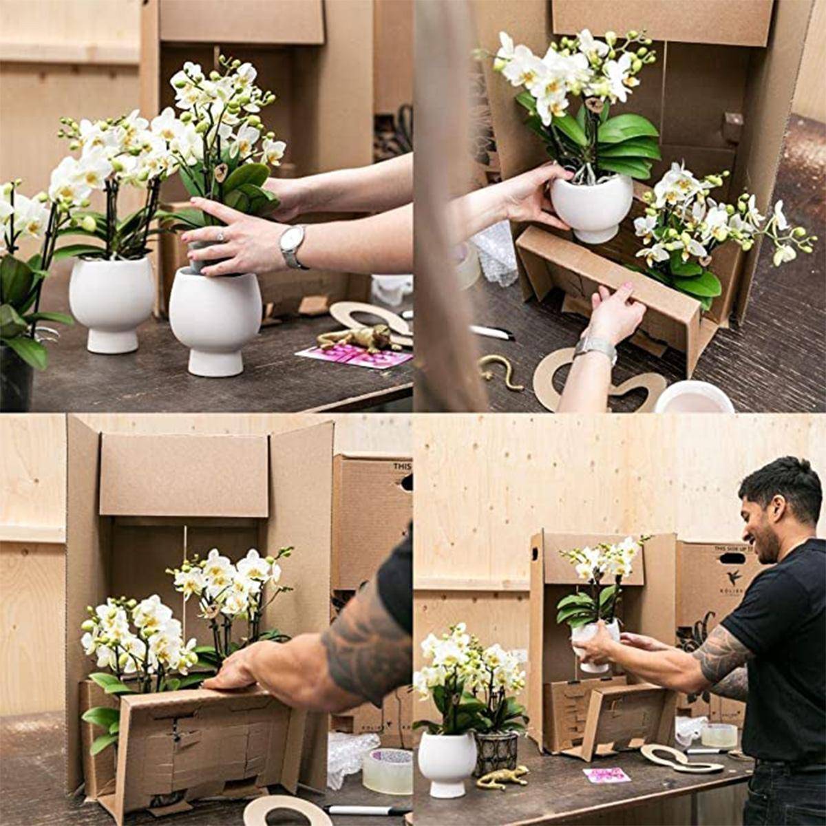 La Green Touch - Coffret d'Orchidée Phalaenopsis orange et plantes grasses et ses caches-pots en céramique- La Green Touch - Imagen 6