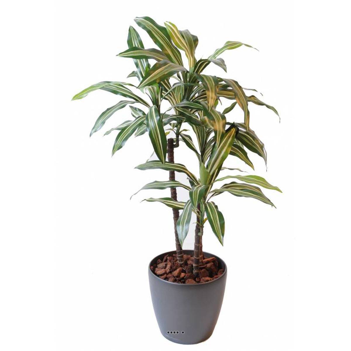 Artificielles - Dracaena artificiel 3 têtes H 90 cm en pot vert-jaune
