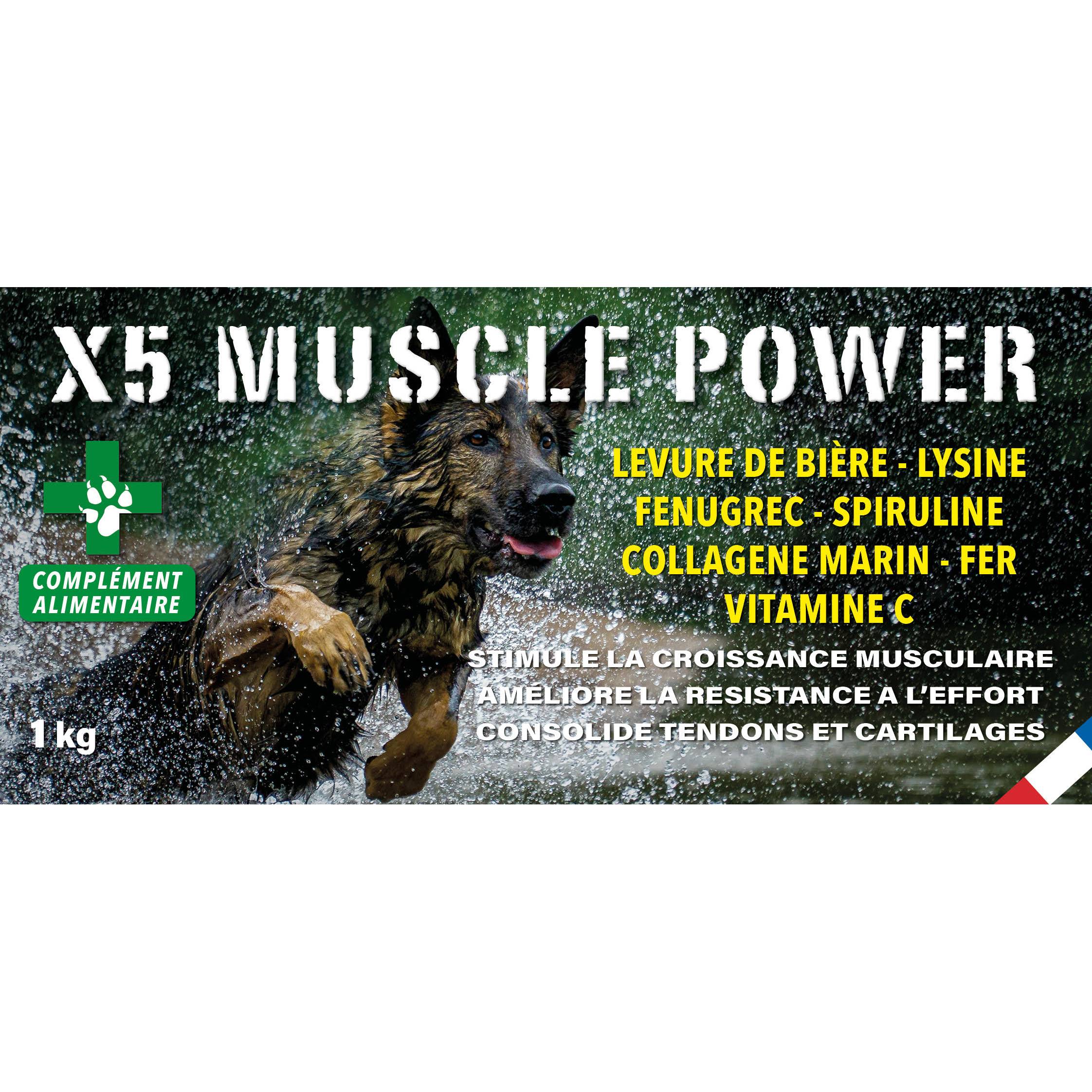 complement alimentaire x5 muscle power – 1kg – poudre soutien et recuperation musculaire – France croquettes - Image 2