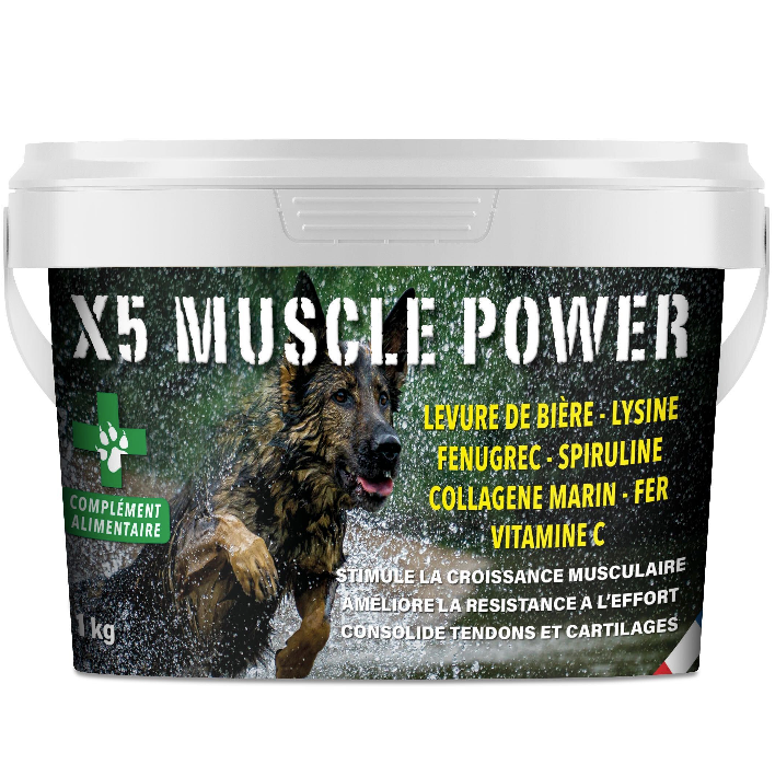 complement alimentaire x5 muscle power – 1kg – poudre soutien et recuperation musculaire  – France croquettes - Image 1