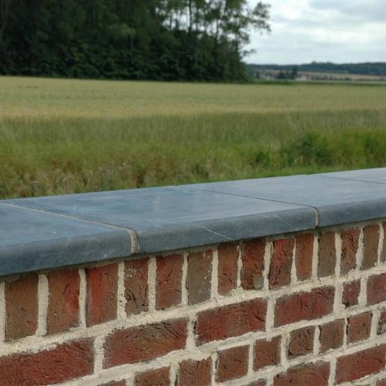 Jardinex - Couvre mur plat pierre bleue 50 x 28 x 4 cm - Gris bleu (Lot de 20) - Jardinex - Imagen 2