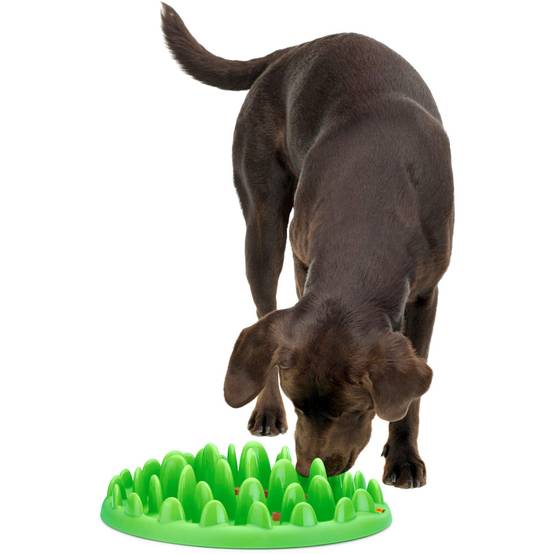 Gamelle plateau anti glouton 29 cm pour chien - Image 1