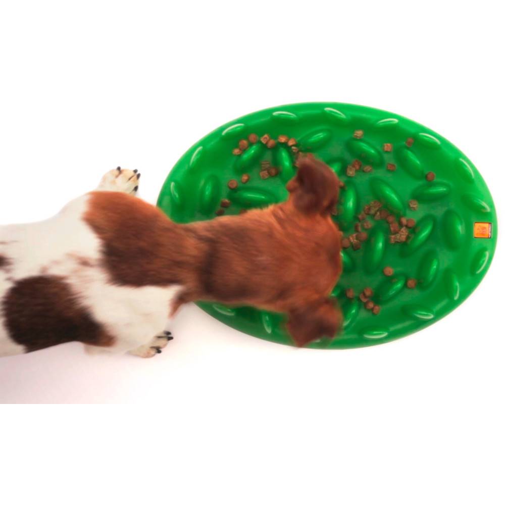 Gamelle plateau anti glouton 29 cm pour chien - Image 10