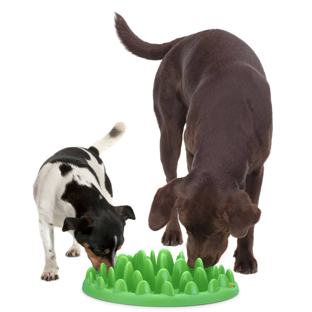 Gamelle plateau anti glouton 29 cm pour chien - Image 5