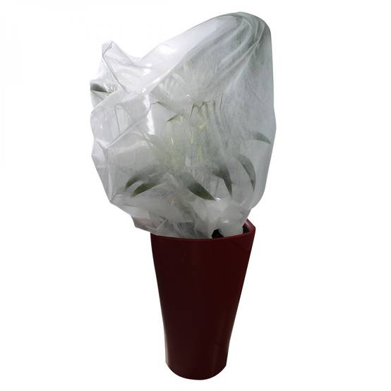 Lot de 5 housses de protection pour plantes - 0.8 x 1 m - 30g/m2 - Blanc - Linxor - Image 1