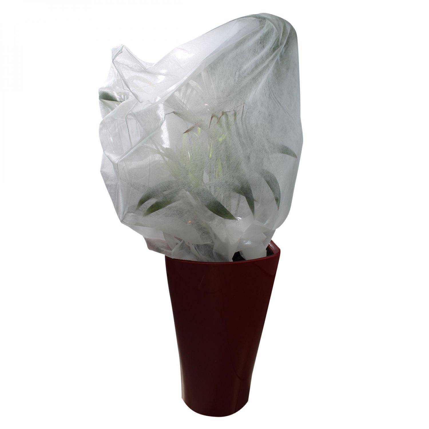 Lot de 5 housses de protection pour plantes - 0.8 x 1 m - 30g/m2 - Blanc - Linxor - Imagen 1