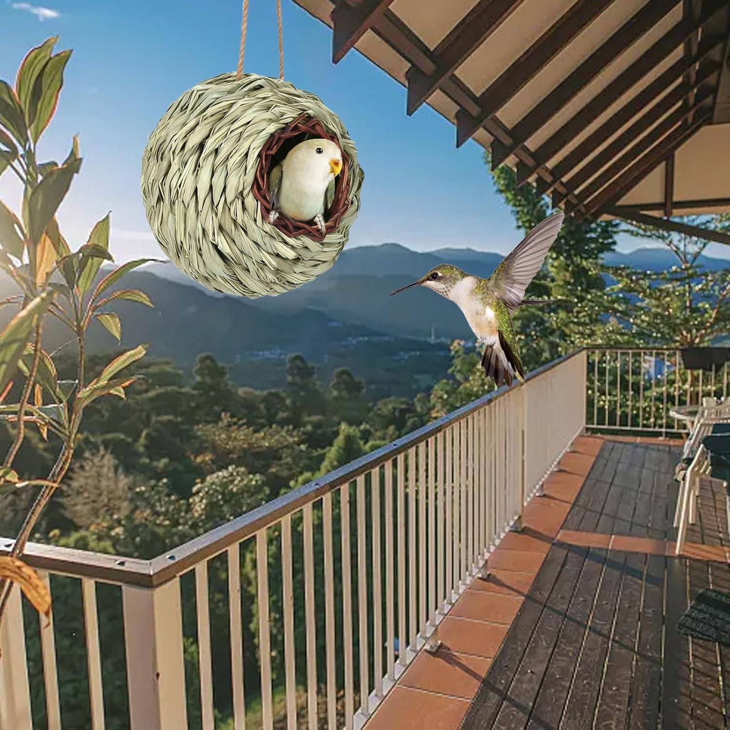 Nichoir sphérique suspendu pour oiseaux DtopbuyAge - Image 3