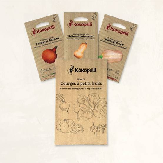 Courges à petits fruits - 3 sachets de graines bio à semer - Image 2