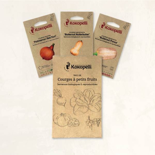 Courges à petits fruits - 3 sachets de graines bio à semer - Imagen 2