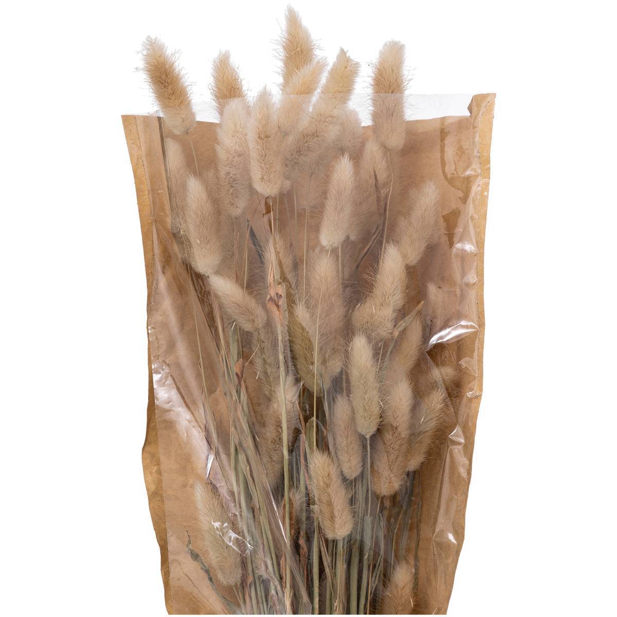 Atmosphera - Bouquet fleurs séchées "Ori" blanc ivoire H58cm - Atmosphera Créateur d'intérieur - Imagen 2