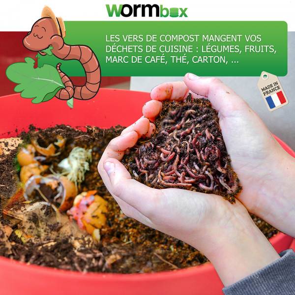 Ferme Du Moutta - Lombricomposteur WormBox 4 Plateaux Vert Anis, 72L - Imagen 5