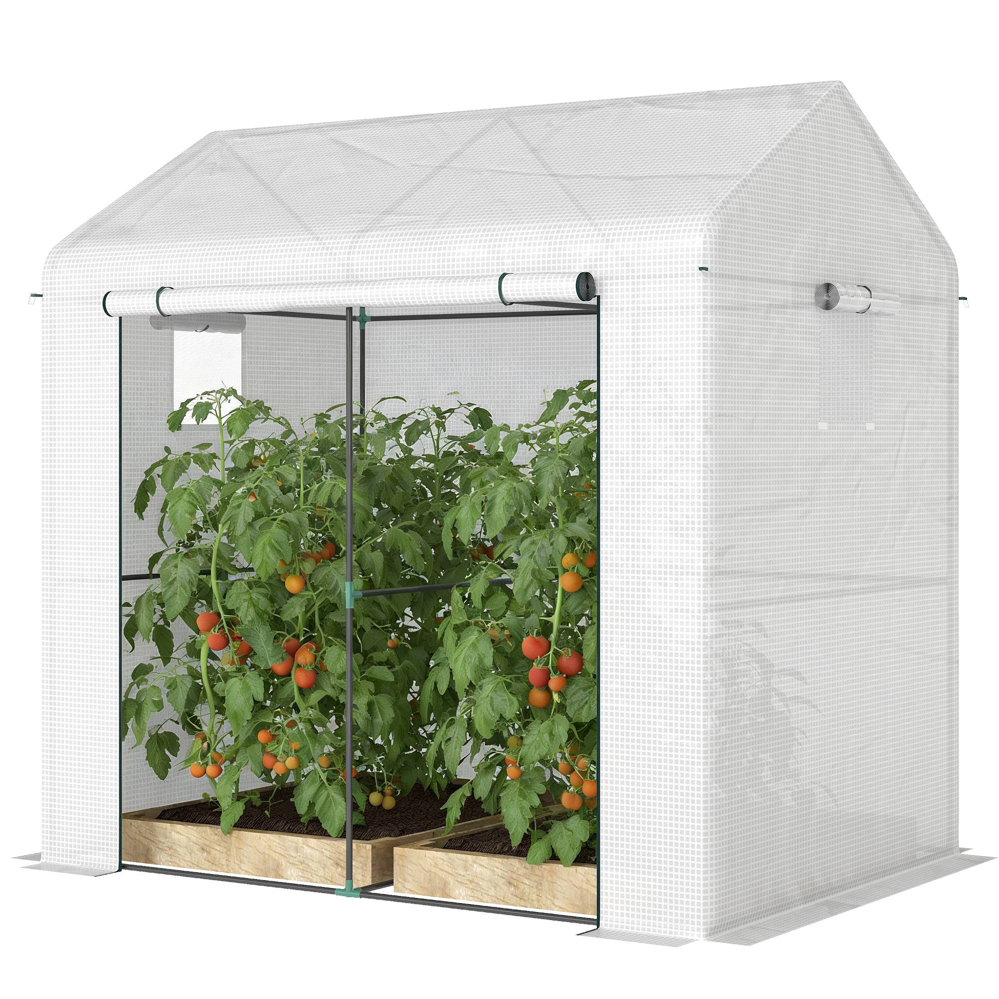 ComfortXL - Serre de jardin PE acier 200 x 140 x 200 cm blanc vert pour cultures protection UV et ventilation réglable - Image 2