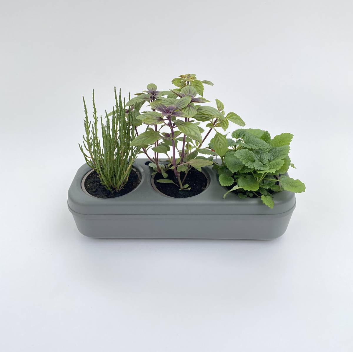 dropshipping plants Everspring  Dropshipping EU - Sell flowers and plants easily in your shop