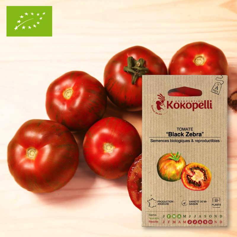 Tomate Black Zebra- Graines bio à semer - Imagen 1