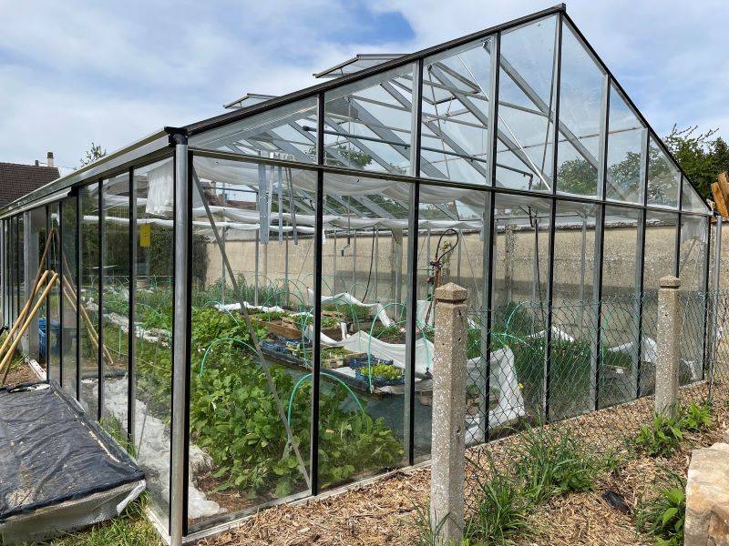 25m² -  Serre en verre trempé - Euro Plus - Alu - 25m² - ALUMINIUM - L'atelier Des Serres - Imagen 4