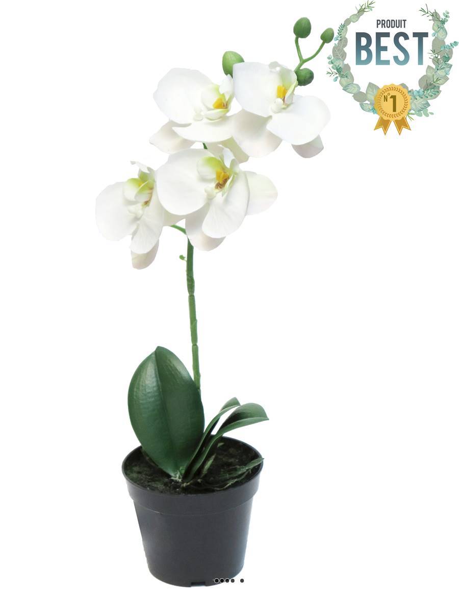 Artificielles - Orchidée Phalaenopsis factice en pot qualité déco H35cm Crème - BEST - dimhaut: H 35 cm - couleur: Crème - Imagen 1