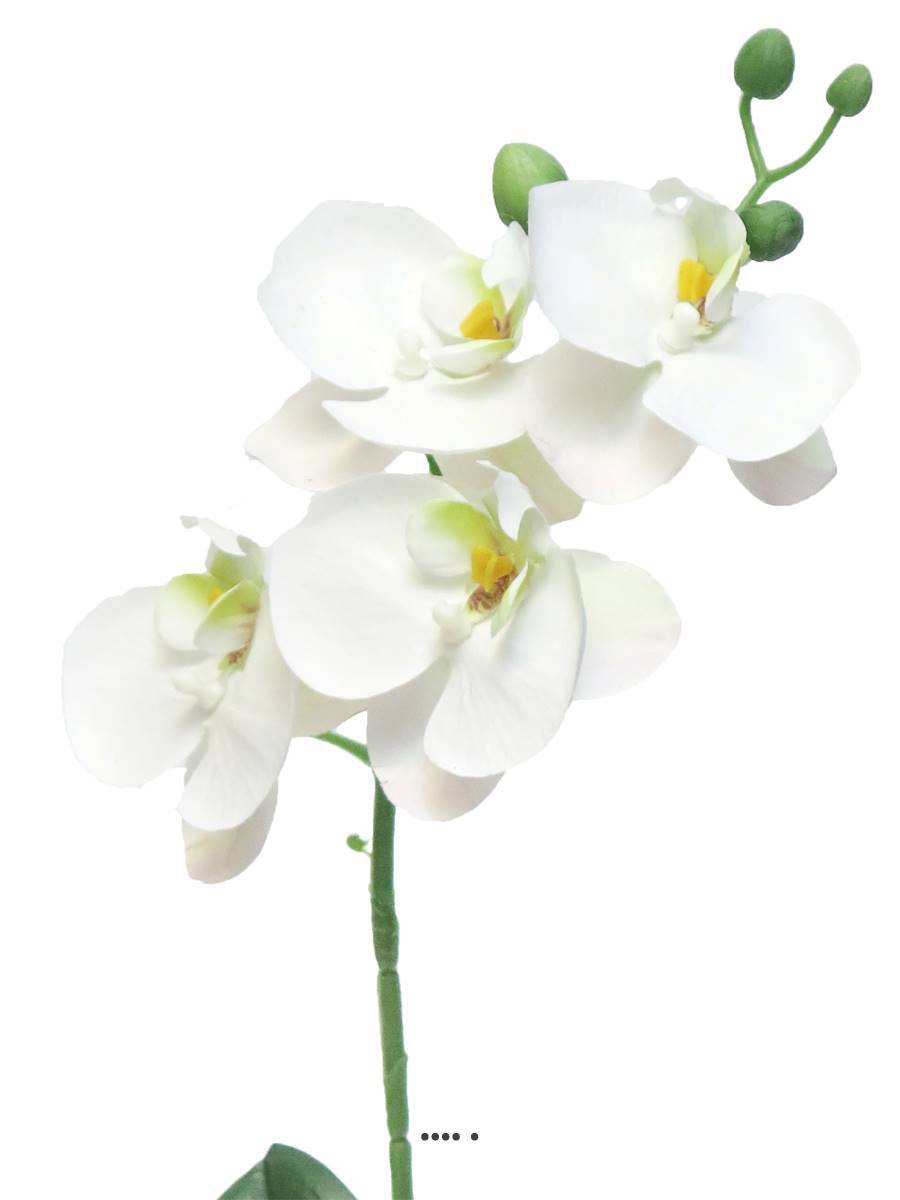 Artificielles - Orchidée Phalaenopsis factice en pot qualité déco H35cm Crème - BEST - dimhaut: H 35 cm - couleur: Crème - Imagen 3