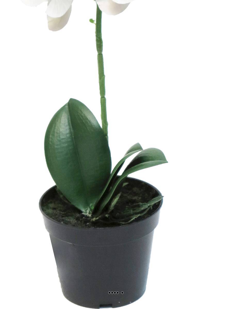 Artificielles - Orchidée Phalaenopsis factice en pot qualité déco H35cm Crème - BEST - dimhaut: H 35 cm - couleur: Crème - Imagen 4