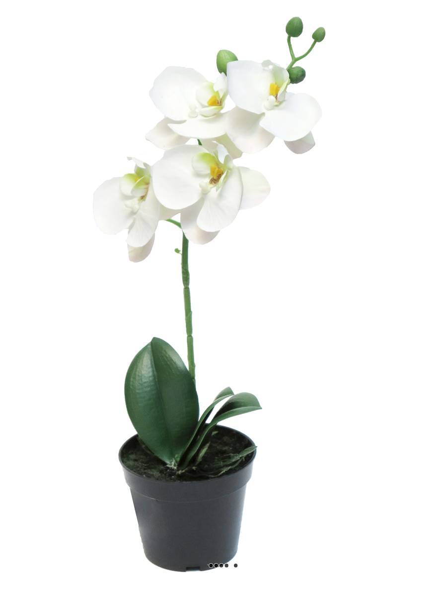 Artificielles - Orchidée Phalaenopsis factice en pot qualité déco H35cm Crème - BEST - dimhaut: H 35 cm - couleur: Crème - Imagen 2