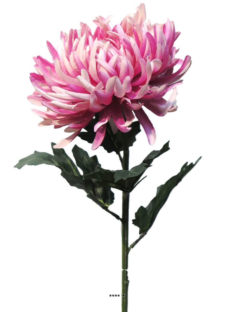 Artificielles - Chrysanthème artificiel, H 63 cm Rose - BEST - couleur: Rose - Imagen 2