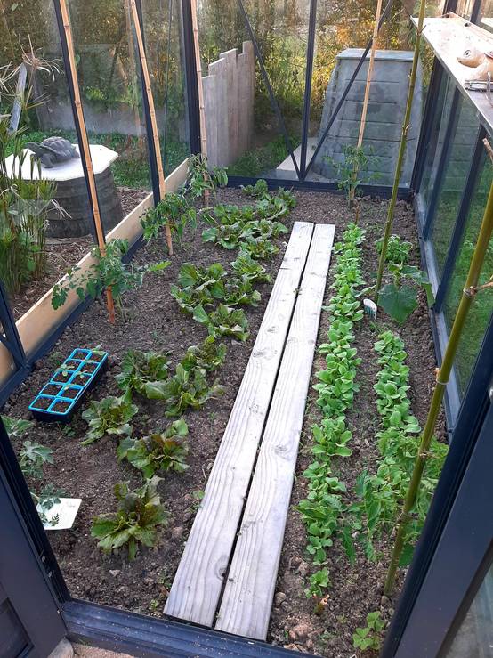 5m² - Serre en verre trempé - Euro Micro - laquée - 5m² - vert sapin - L'atelier Des Serres - Image 5