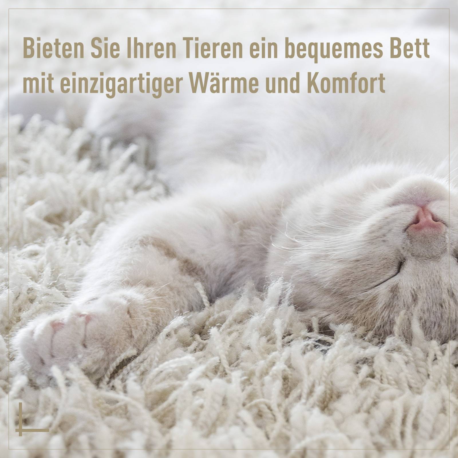 Sans Marque - Grotte pour chat en rotin, lit pour chat, maison pour chat avec coussin, tente pour chat, niche pour chats et chiens, beige, Ø56 x 35 cm - Image 8
