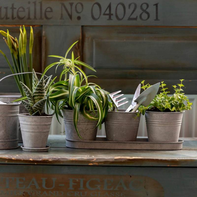 Esschert Design - Set 3 pots de fleur en zinc - Esschert Design - Imagen 2