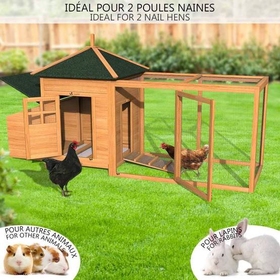 Grand poulailler en Bois avec Pondoir et Perchoir - Image 2