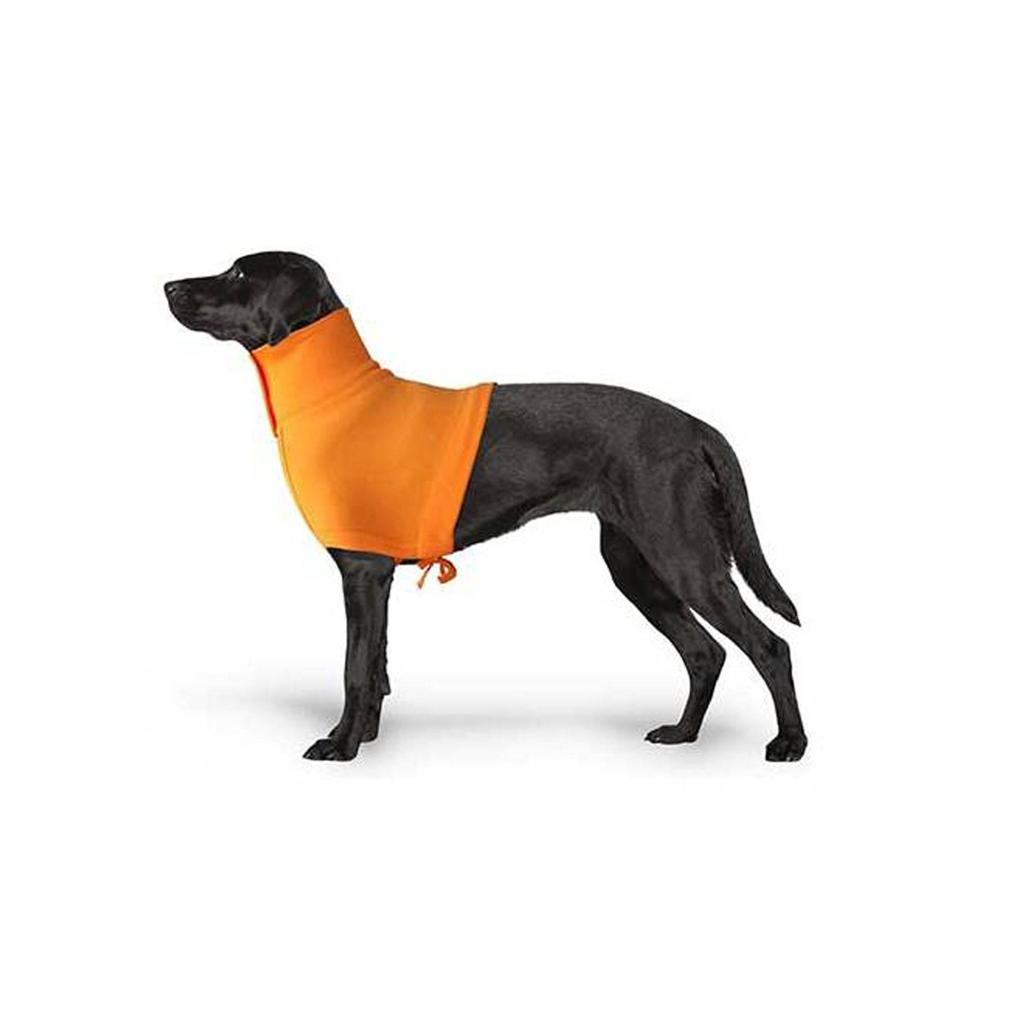 Protection de cou orange Taille : XS GRANDE FINALE