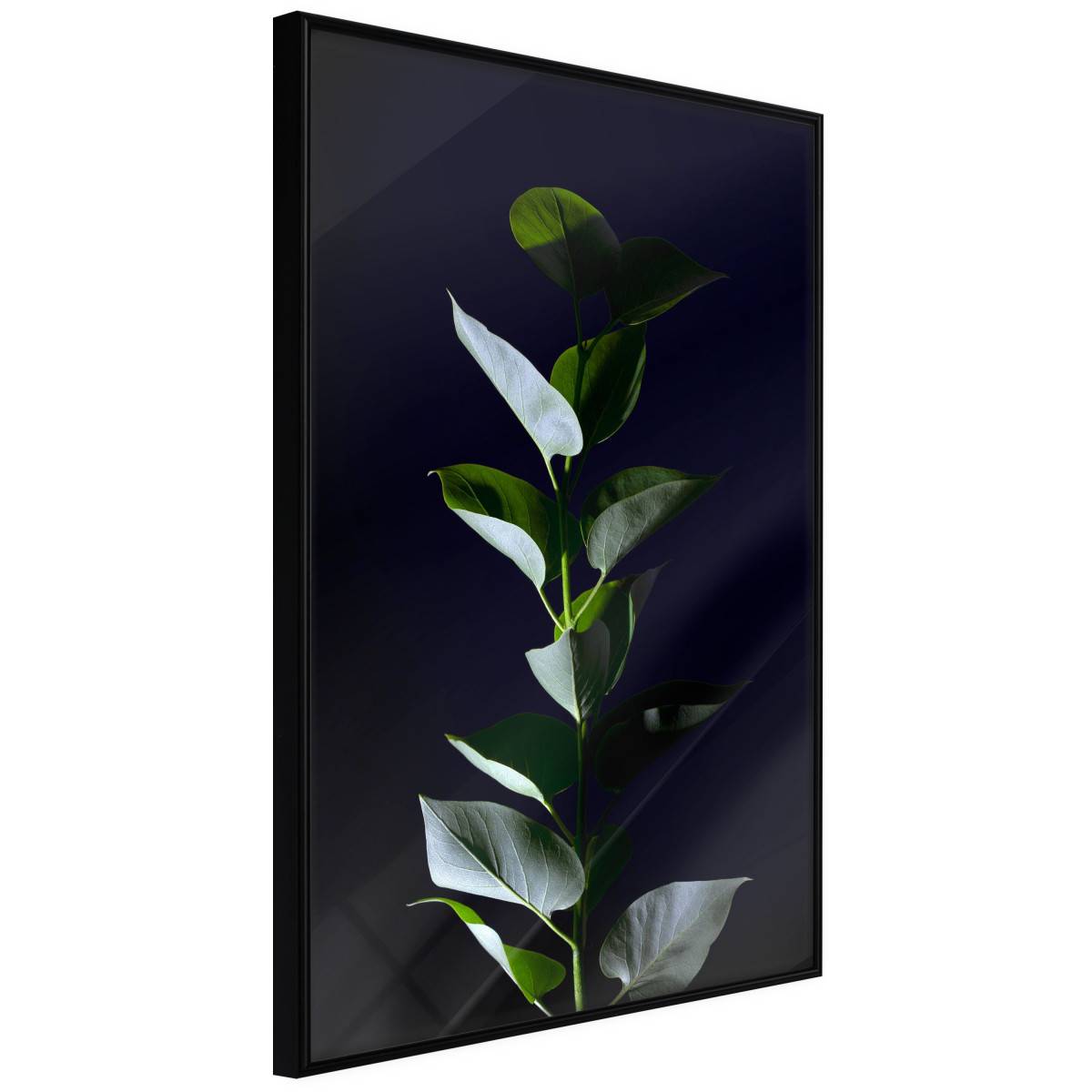 Affiche Murale Encadrée "Floral Elegance" 40 x 60 cm Noir