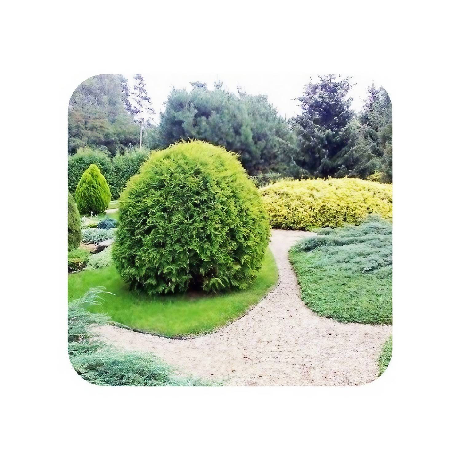 Jeu de 20 Bordures de jardin en aluminium ultra solide 14cm x 1m (20m long), Green-split - Image 4