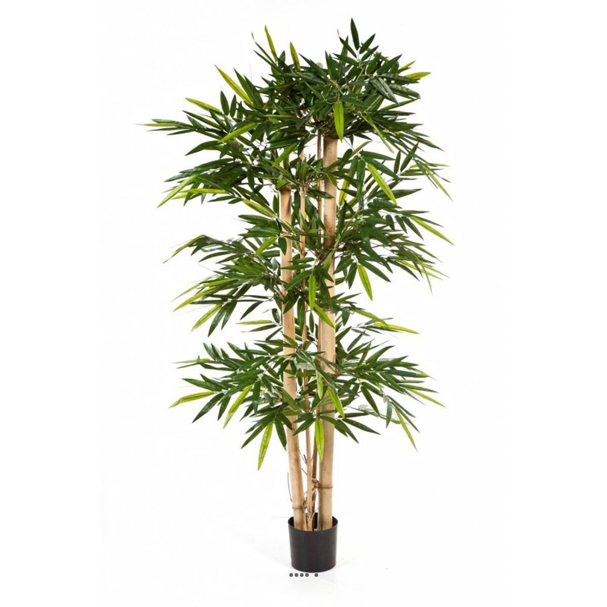 Artificielles - Bambou New grosses cannes H 270 cm 2368 feuilles artificiel - dimhaut: H 270 cm - couleur: Vert