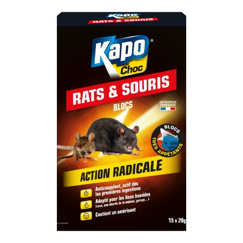 Aérosol spécial infestation contre les punaises de lit 200ml - SINTO - 3092 - Imagen 2