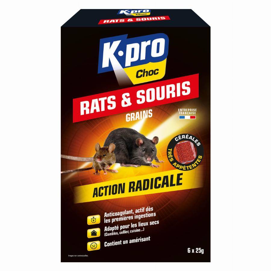 Aérosol spécial infestation contre les punaises de lit 200ml - SINTO - 3092 - Imagen 3