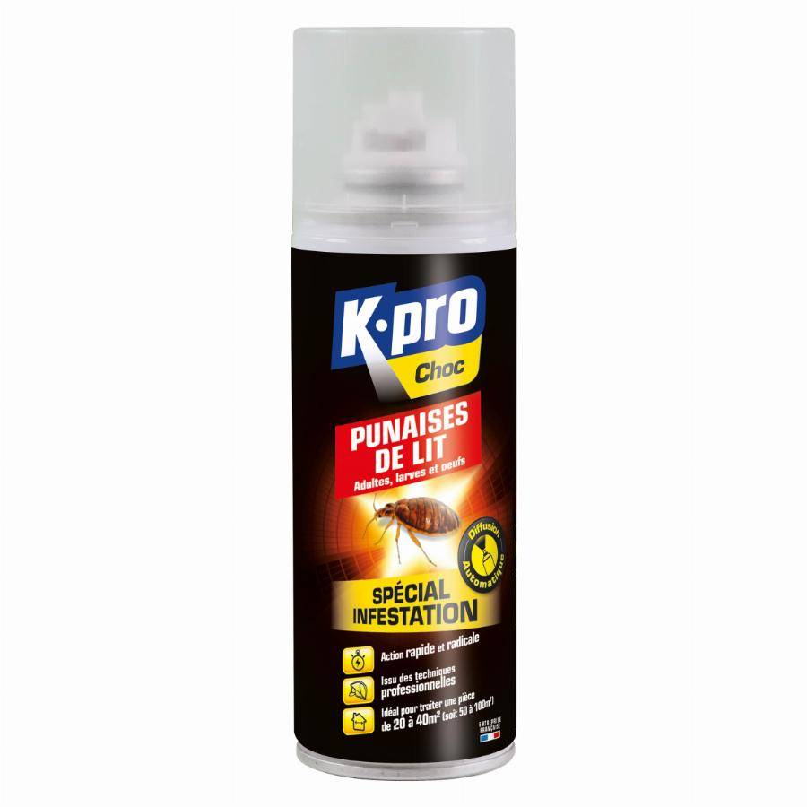 Aérosol spécial infestation contre les punaises de lit 200ml - SINTO - 3092 - Imagen 1