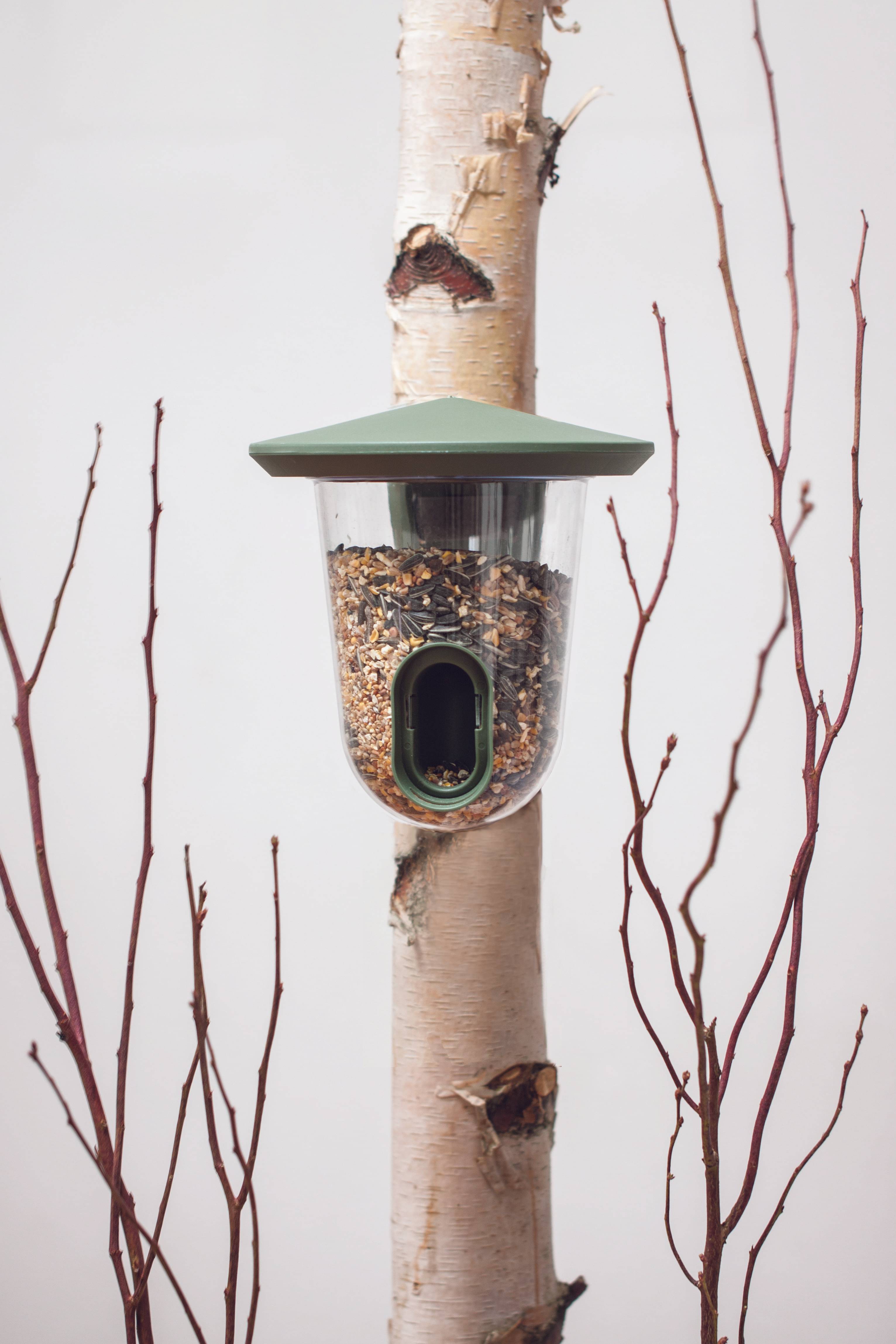 Mangeoire  pour oiseaux - pour graines18.5x18.5x19cm vert - SF - Imagen 1