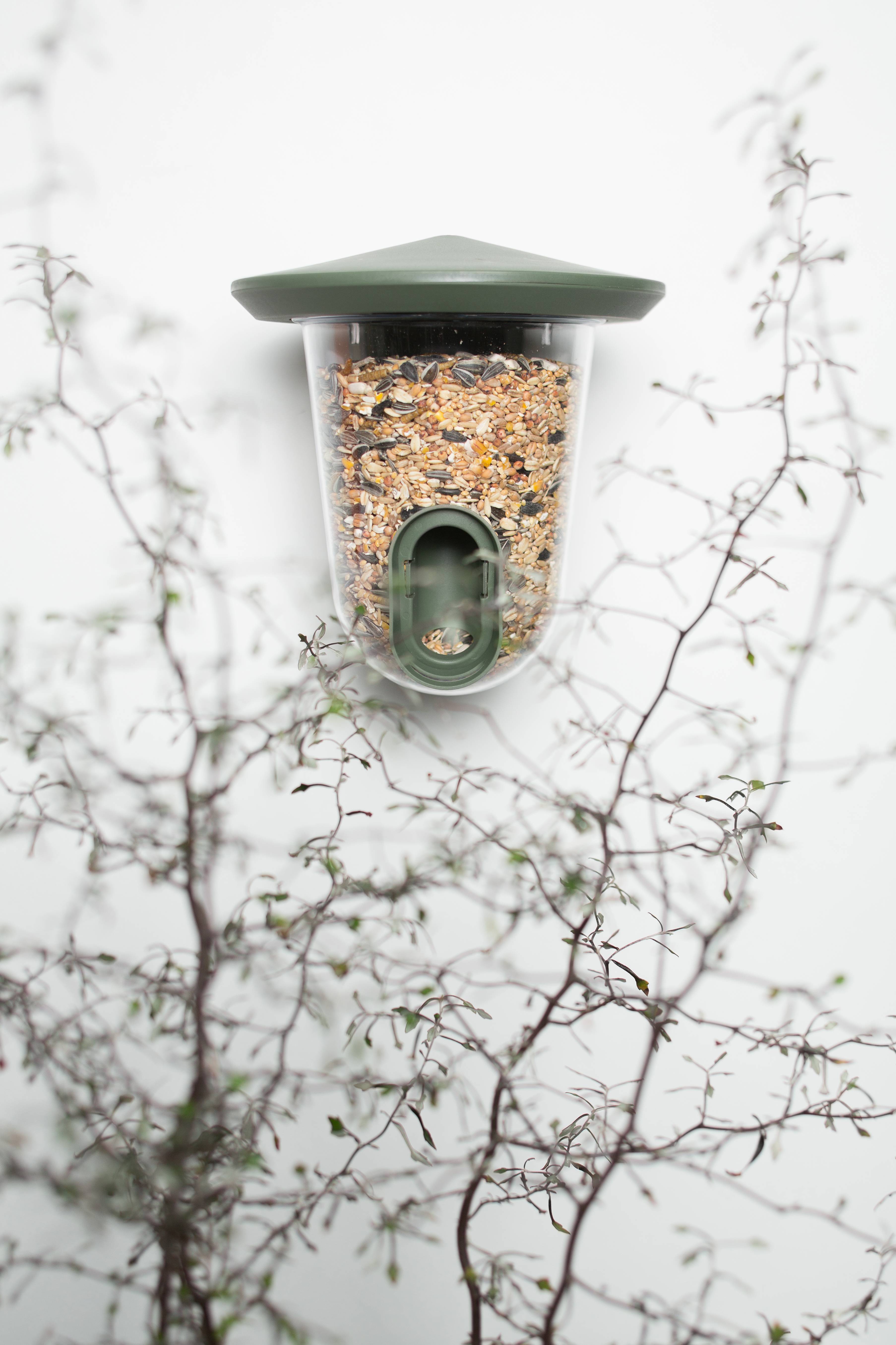 Mangeoire  pour oiseaux - pour graines18.5x18.5x19cm vert - SF - Imagen 2