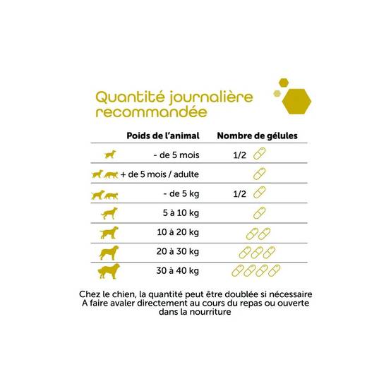 Pack de 2 Ultradiar - Soutien digestif, selles molles & gaz pack/2 - Image 3