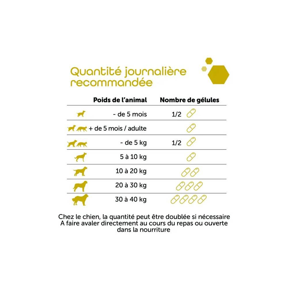 Pack de 2 Ultradiar - Soutien digestif, selles molles & gaz pack/2 - Image 3