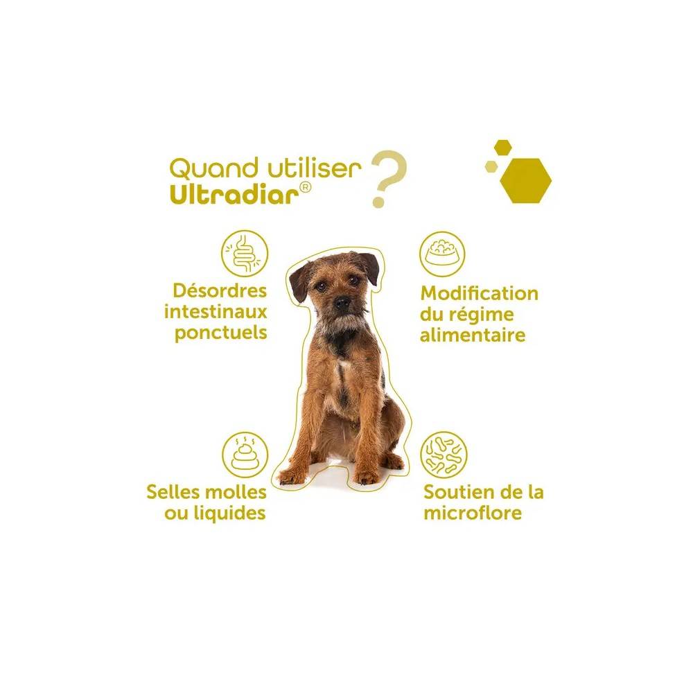 Pack de 2 Ultradiar - Soutien digestif, selles molles & gaz pack/2 - Image 4