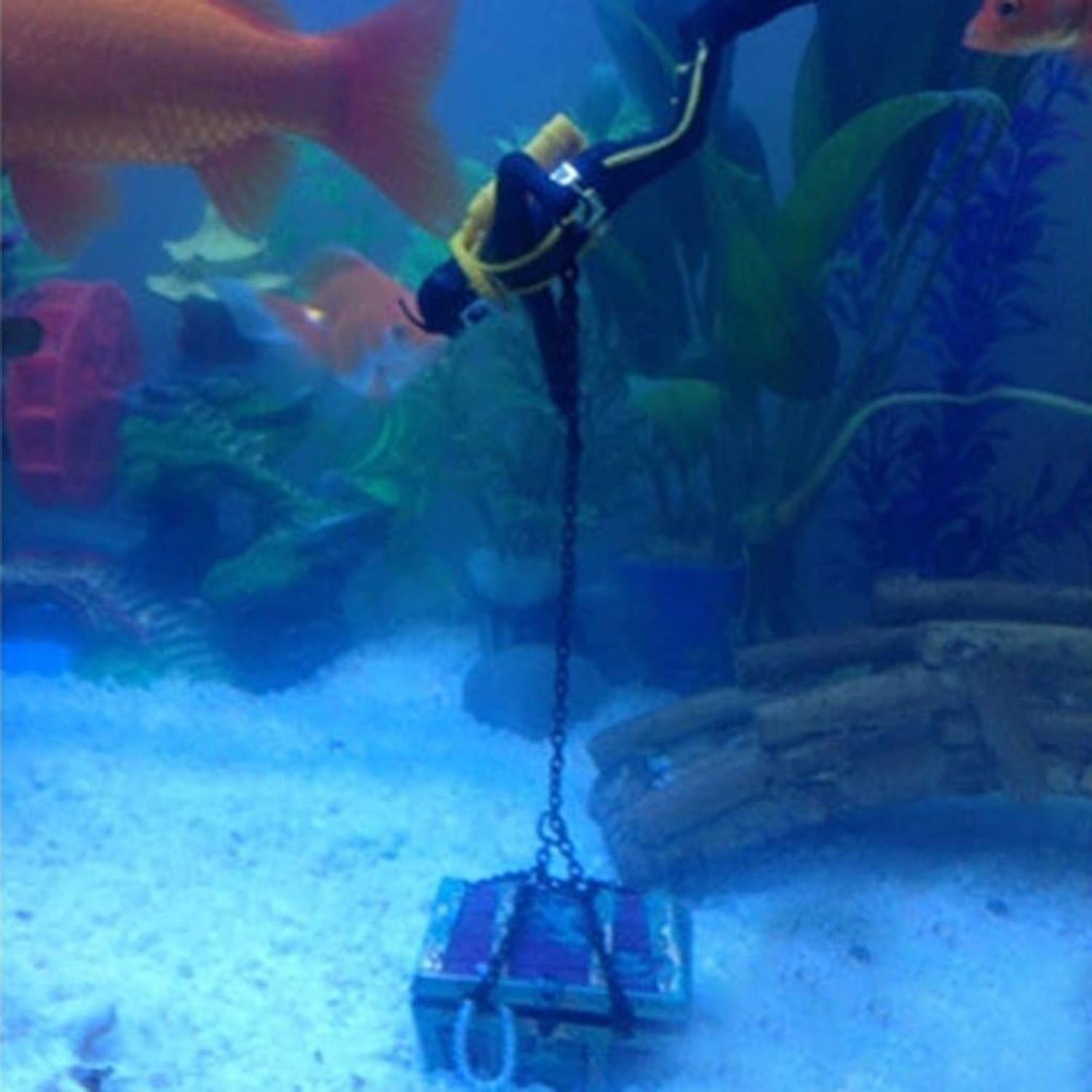 Plongeur Chasseur de Trésor pour Aquarium DtopbuyAge - Image 2
