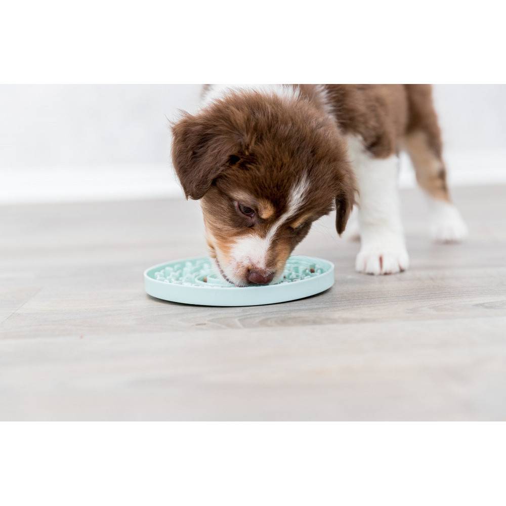 Trixie - Junior Lick'n'Snack Assiette à lécher, ø 15 cm pour chien. - Imagen 6