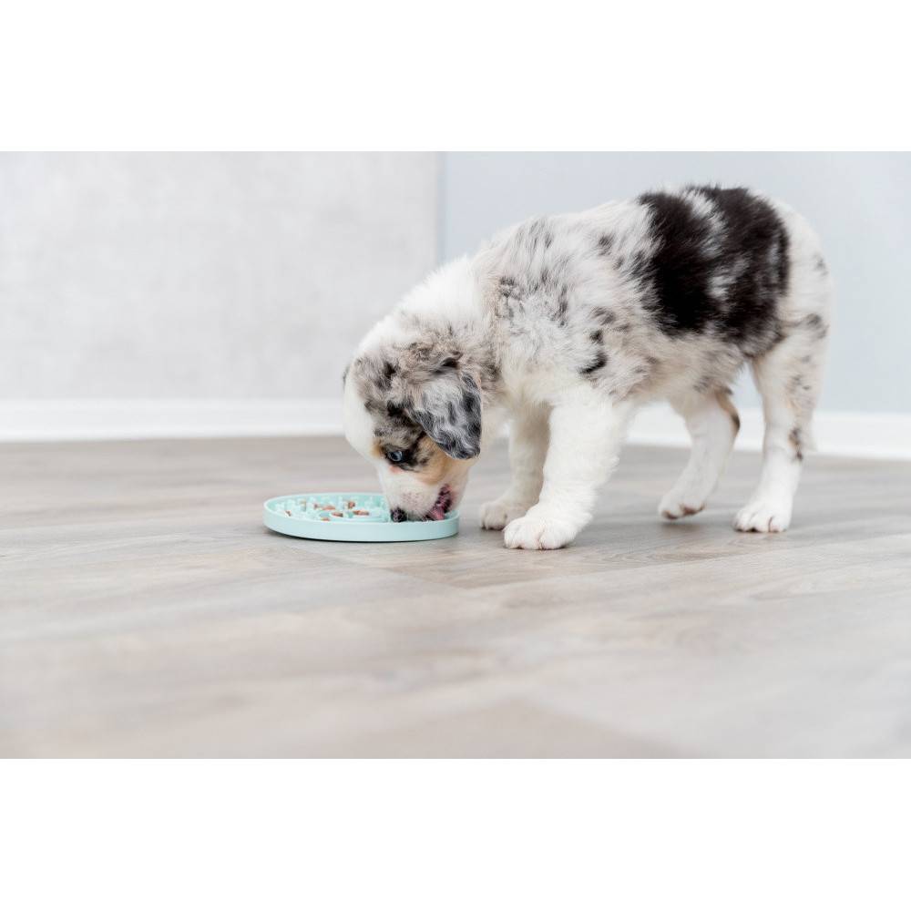 Trixie - Junior Lick'n'Snack Assiette à lécher, ø 15 cm pour chien. - Imagen 7