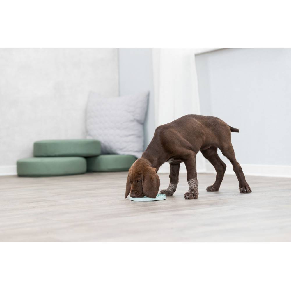 Trixie - Junior Lick'n'Snack Assiette à lécher, ø 15 cm pour chien. - Imagen 8